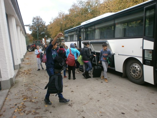 bos1A030.JPG