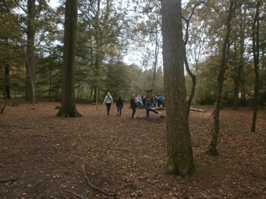bos1A047.JPG