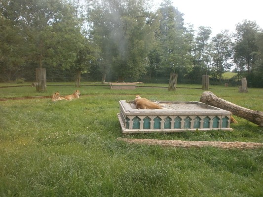Bellewaerde42.JPG