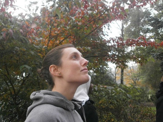 bos1A1B3101.JPG