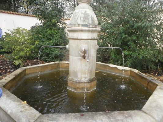 bos1A1B3077.JPG
