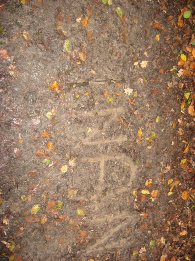 bosOKAN1B4024.JPG