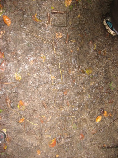 bosOKAN1B4025.JPG