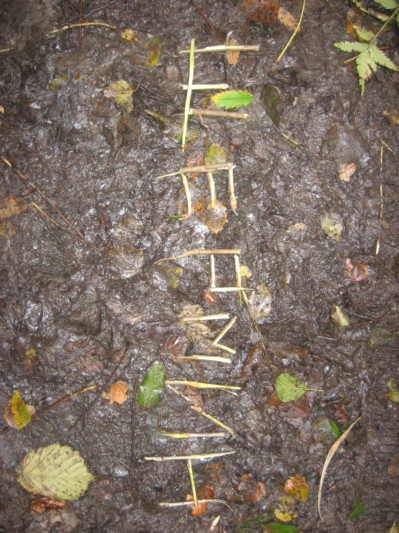 bosOKAN1B4029.JPG