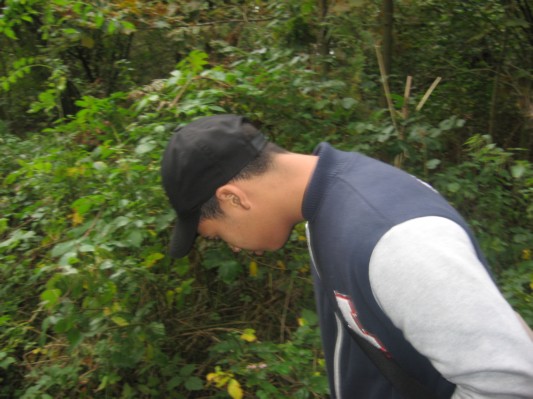 bosOKAN1B4047.JPG