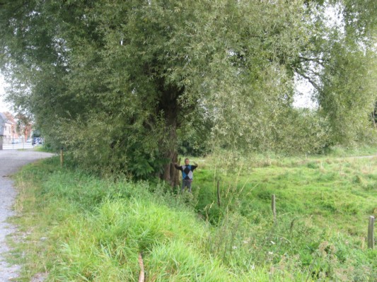 bourgoyen17.JPG