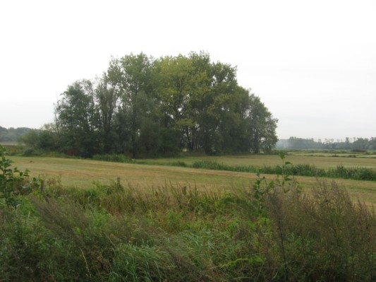 bourgoyen18.JPG